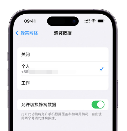 南雄苹果维修服务分享如何在iPhone上使用双卡 